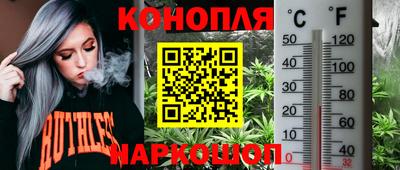 ешки Пенза