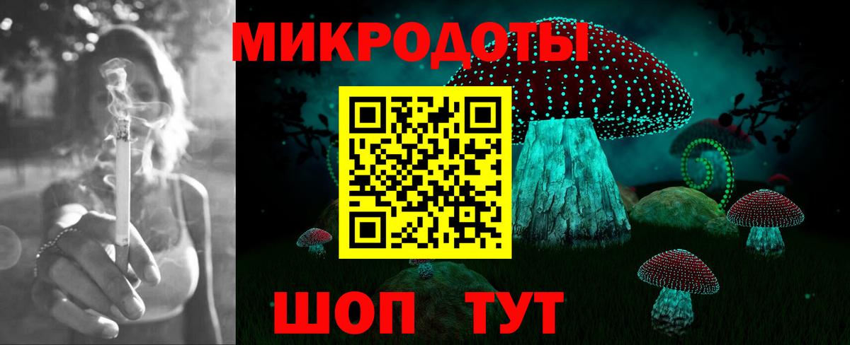 Псилоцибиновые грибы прущие грибы Томск