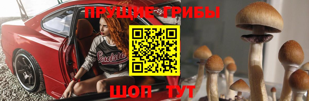Томск  Галлюциногенные грибы Magic Shrooms  Вход с VPN 
